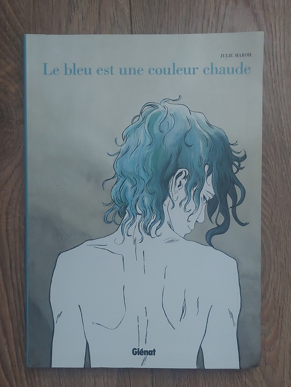 Le bleu est une couleur chaude Graphic Novel - Blue Cover Bd Livre Lbgt Queer
